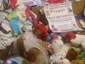 Dons des parents de la crèche Les Colombes